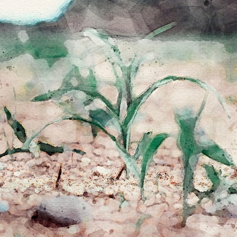 Artwork for Excavating the Foundations: One Introductory Study on the Structure of Genesis