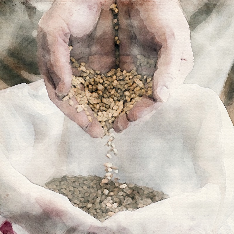 Artwork for In Your Offspring Shall All Nations Be Blessed: One Study on God's Promises in Genesis 44–50