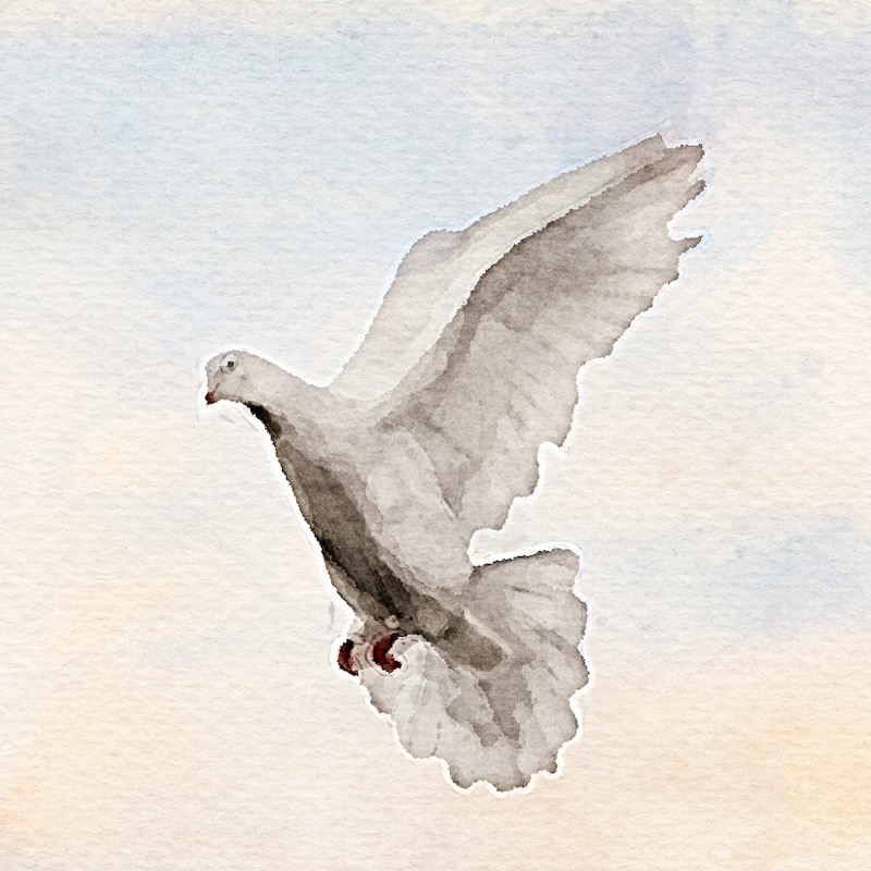 Artwork for 3 - Spiritual Gifts - Practical Implications