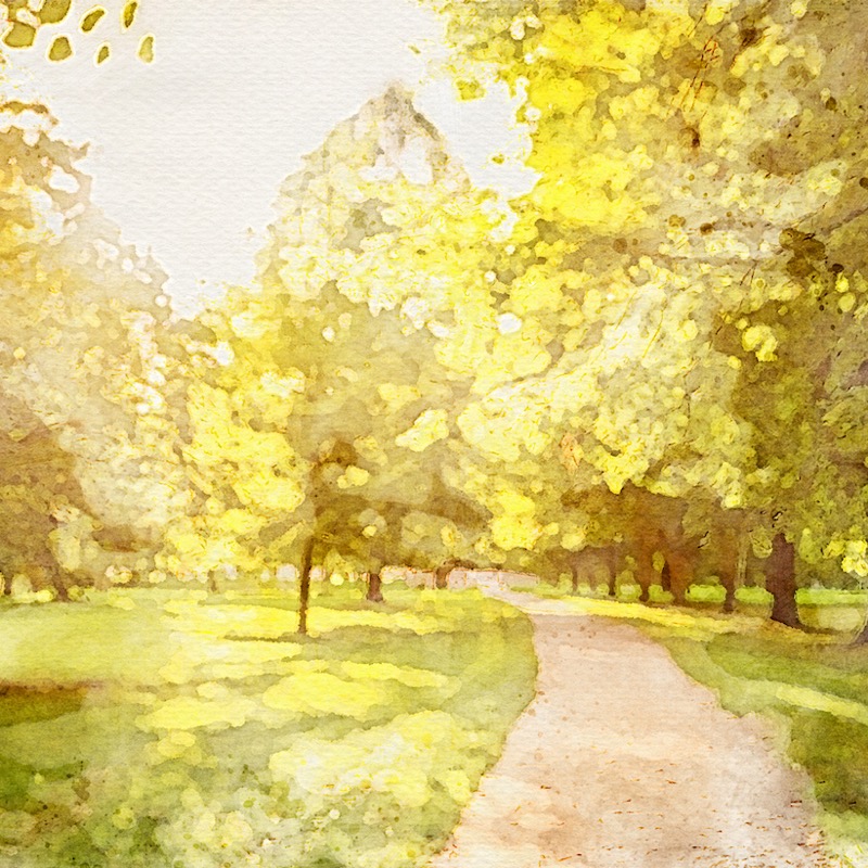 Artwork for 4 - 1 Chronicles 17