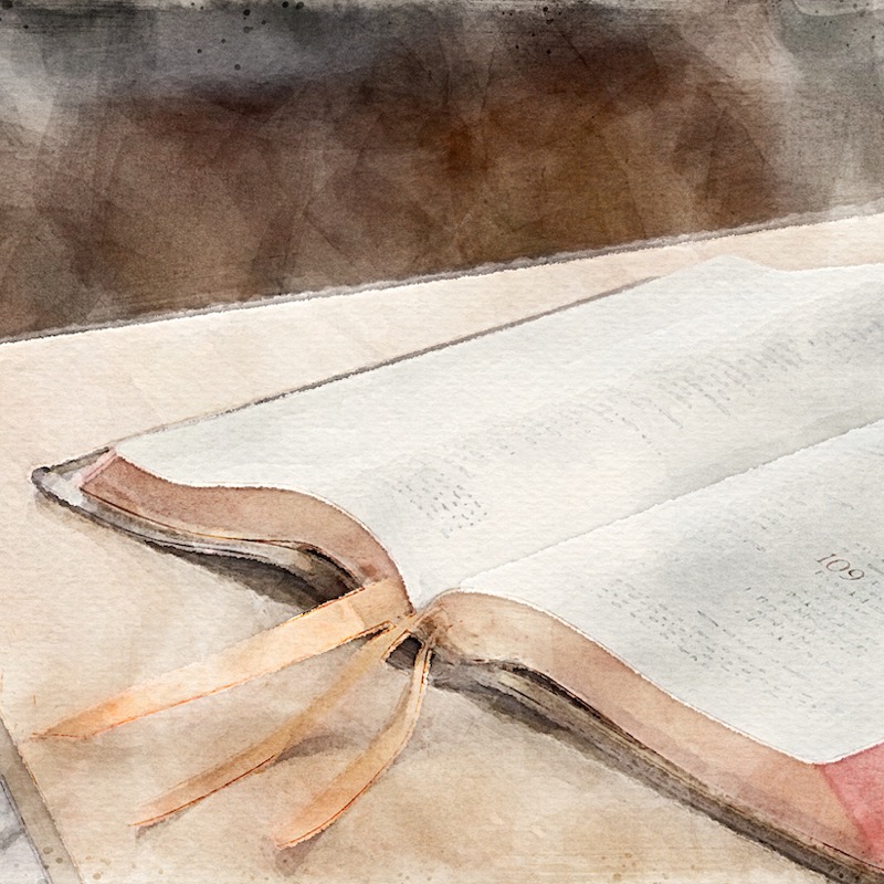 Artwork for Why I Believe the New Testament is the Word of God