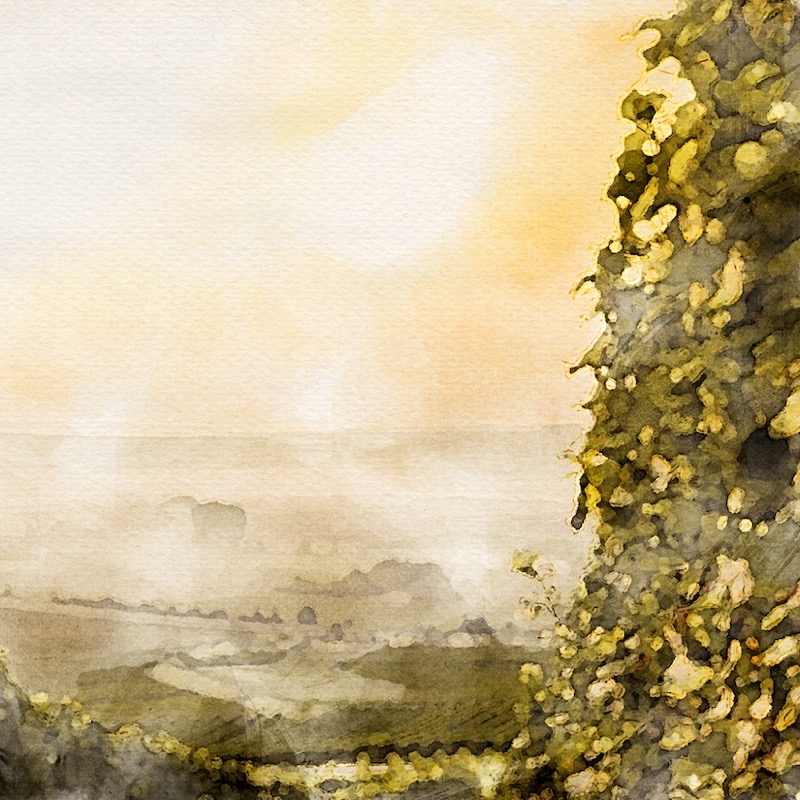 Artwork for 1 - Introduction and Overview