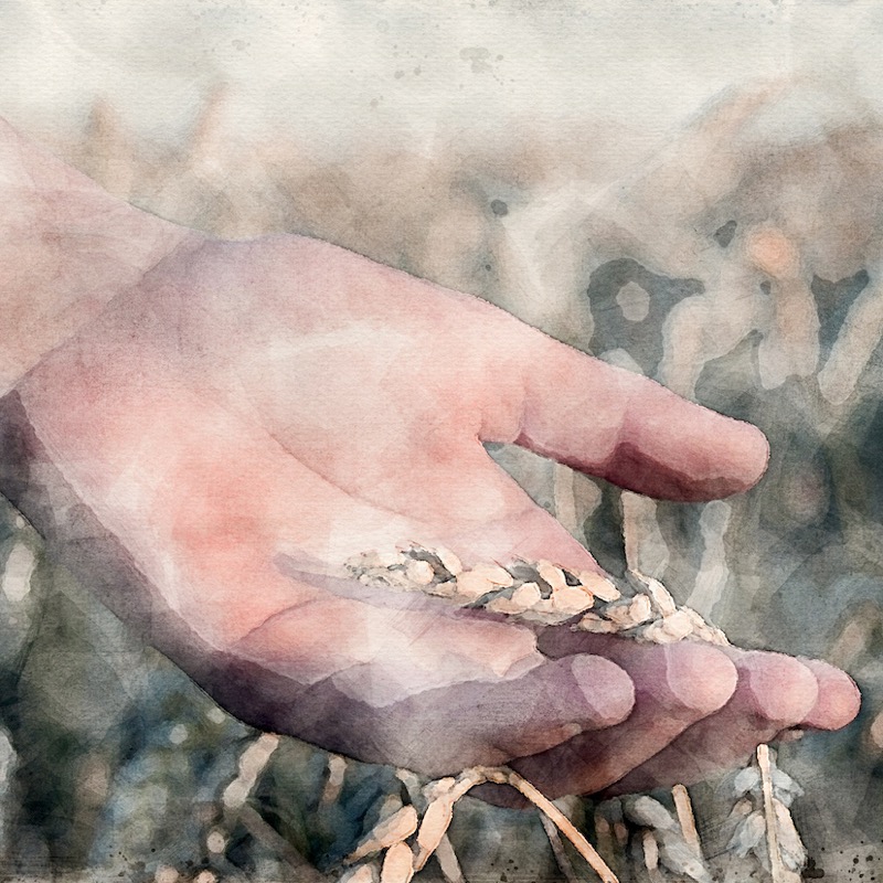 Artwork for 2 - Four Possible Ways of Applying the Story of Ruth