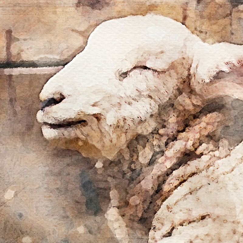 Artwork for A Proud Tyrant Brought Down and the Suffering Servant Exalted