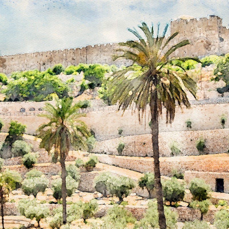 Artwork for Two Prepared Entries into Jerusalem