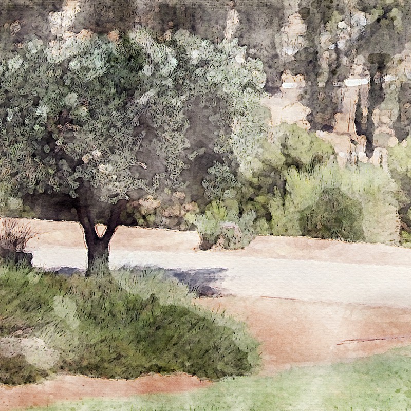 Artwork for 8 - The Second Journey: Christ the Means of Life—Part 2