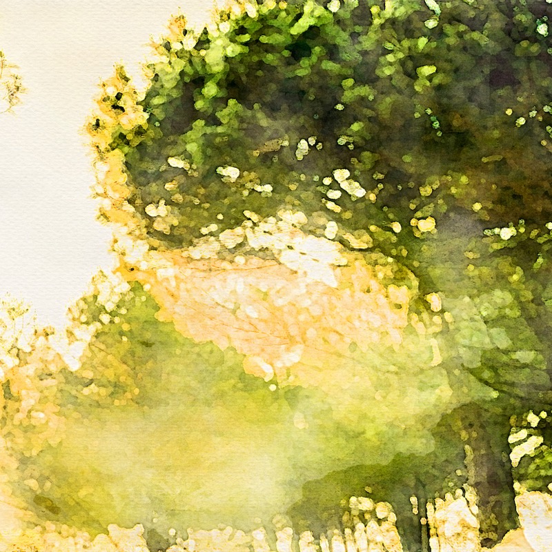 Artwork for 3 - The Basis of Morality and the Mind-Body Problem